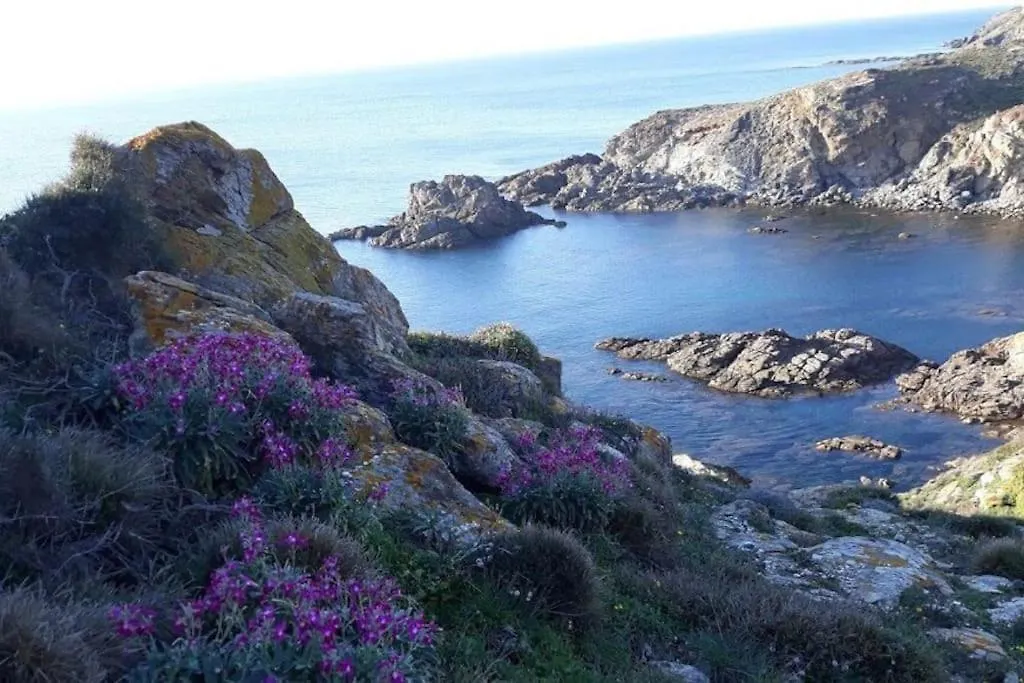 Oasi Del Relax - Seaside Peaceful Panoramic Terrace In Italy - New Sardinia Apartment 50 Mt Beach&Sea Full Comfort Air Conditioning-Wifi-Parking-Privacy Torre dei Corsari